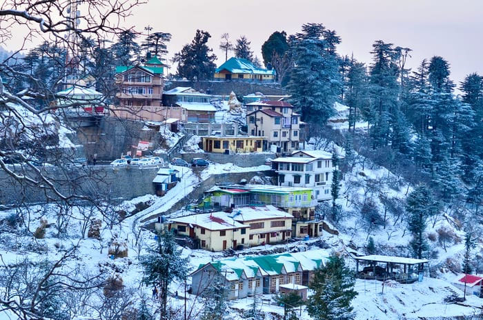 awesome-tour-travels-gallery-kufri-beauty