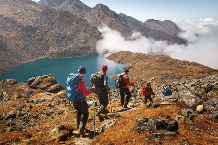 awesome-tour-travels-gallery-tracking